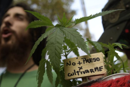 Santa Cruz dice presente en 4/20 a pura capacitación