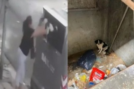 Piden juicio oral para la mujer que tiró a su perra a la basura