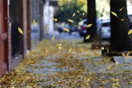 Aseguran que este otoño fue uno de los tres más cálidos a nivel nacional desde 1961