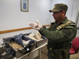 Escanearon dos valijas y detectaron un doble fondo con 23 kilos de cristales de metanfetaminas