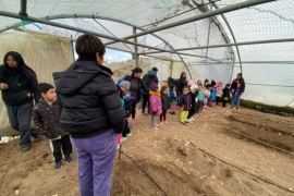 Niños del Jardín 52 aprenden sobre cultivo orgánico en visita a la Chacra Municipal