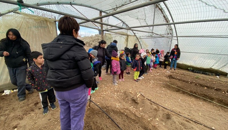 Niños del Jardín 52 aprenden sobre cultivo orgánico en visita a la Chacra Municipal 