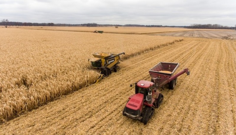 “El Niño”, la esperanza del agro