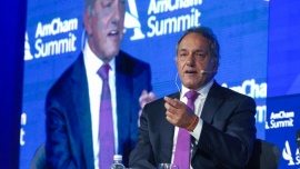 Scioli: "Cristina me votaría a mí"