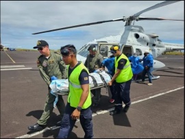 Un tiburón atacó a una turista