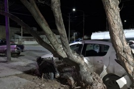 Grave incidente vial dejó tres heridos en Río Gallegos