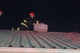 Bomberos rescataron a un gato atrapado en una chimenea