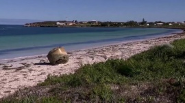 Apareció un extraño objeto metálico en una playa de Australia y las teorías van más allá de la Tierra