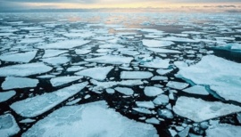 Se viene un concurso de videos sobre el cambio climático