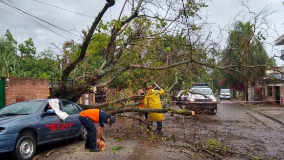 Temporal en Jujuy: hubo voladura de techos, caída de árboles y cortes de energía