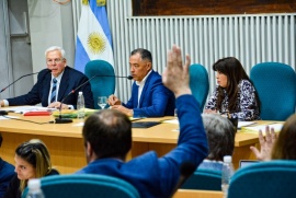 Diputados: piden cobertura total para la atención psicológica