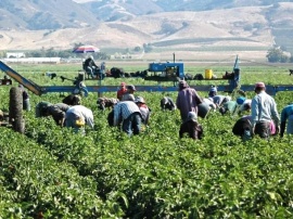 Extienden por dos años beneficios en asignaciones familiares para trabajadores golondrina