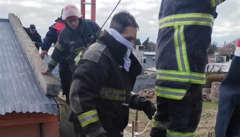 Bomberos rescataron a una perra y a sus cachorros 