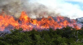 Córdoba: más de 7.600 hectáreas afectadas por los incendios en el primer semestre de 2023