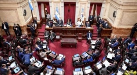 El Senado convirtió en ley el Programa de Becas Educativas Progresar