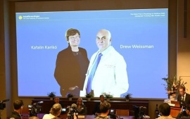 El Premio Nobel de Medicina 2023 fue para dos investigadores por la vacuna del Covid-19