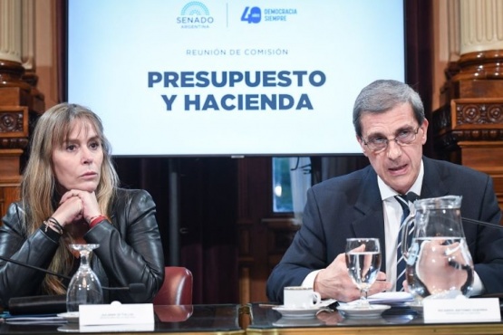 El Senado apura el tratamiento del programa Compra sin IVA