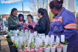 Gran convocatoria de vecinos y vecinas en nueva entrega de plantines