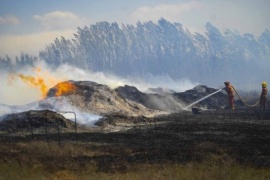 El viento zonda provocó incendios en Mendoza y 82 personas fueron evacuadas