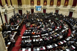 Diputados convocó a una sesión especial para exigir la liberación de rehenes del grupo Hamás