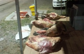 Decomisaron 230 kg de carne bovina en la Barrera Patagónica