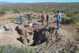 Nueva especie de dinosaurio con el cuerpo “casi completo” en la Patagonia