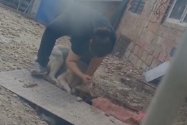 Las Heras: repudian a una mujer por golpear a su mascota