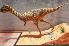 A partir de huellas, identificaron una nueva especie de dinosaurio