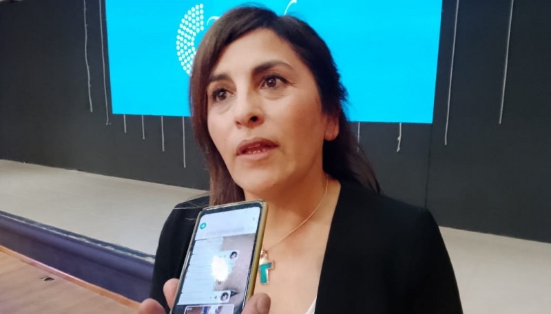 Iris Rasgido: “Los números de la cámara exigen diálogo y debate”