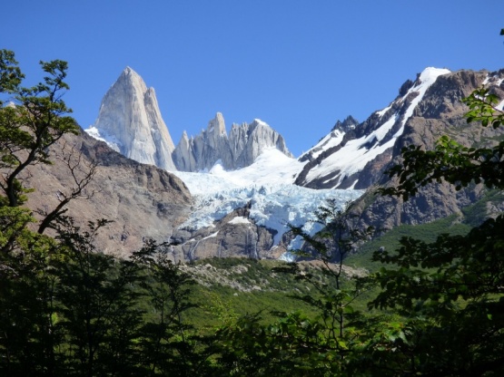 El animal que solo existe en la Patagonia y está en peligro de extinción