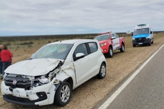 Daños materiales tras choque contra un guanaco 