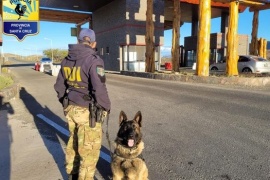 Operativos de control en El Calafate