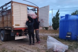 El DOR decomisó un camión que trasladaba corderos