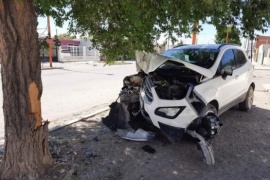 Chocó contra un árbol y abandonó su auto