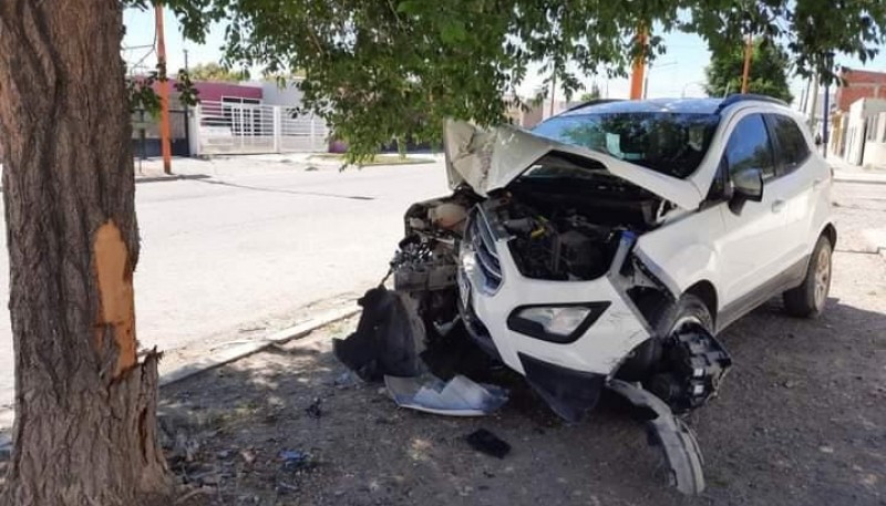 Chocó contra un árbol y abandonó su auto