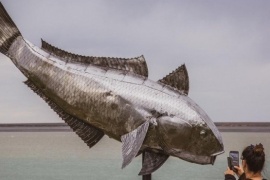 Confirmada la Fiesta Nacional del Róbalo 2024