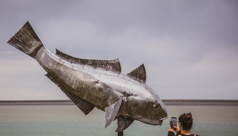 Febrero tendrá Fiesta del Robalo 