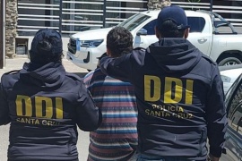 Detuvieron a un hombre por robo de cámaras de seguridad