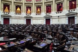 Senadores de la Patagonia piden sesión para rechazar el DNU