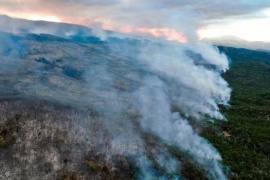 El incendio forestal en el Parque Nacional Los Alerces ya arrasó 577 hectáreas