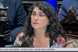 Ana María Ianni pidió una cuestión de privilegio y denunció "irregularidades" en el dictamen del proyecto