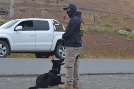 Incautaron marihuana durante operativos de control