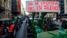 La protesta del campo europeo llegó a las puertas de la UE