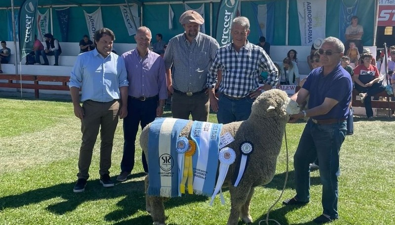 Gran campeón El Renuevo 