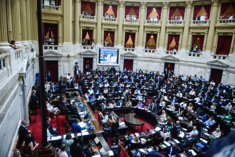 Ley de Bases: cómo será el debate en particular