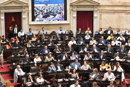 Diputados aprobó las emergencias estipuladas en la Ley Ómnibus