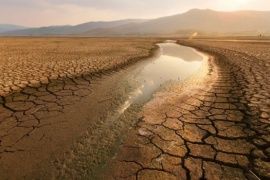 Por primera vez, el planeta superó los 1,5 °C de calentamiento durante 12 meses seguidos