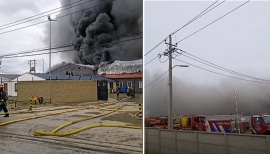 Incendio de proporciones se registra en Planta Pesquera