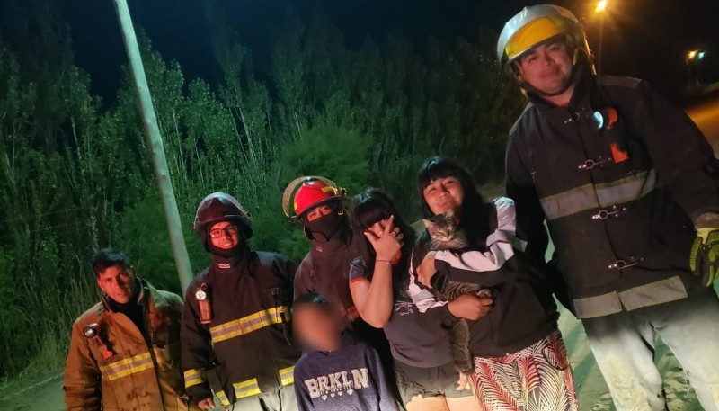 Bomberos rescataron a un gato atrapado en un árbol