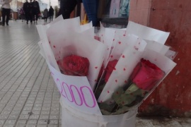 Día de los Enamorados: cuánto cuesta una rosa en Río Gallegos